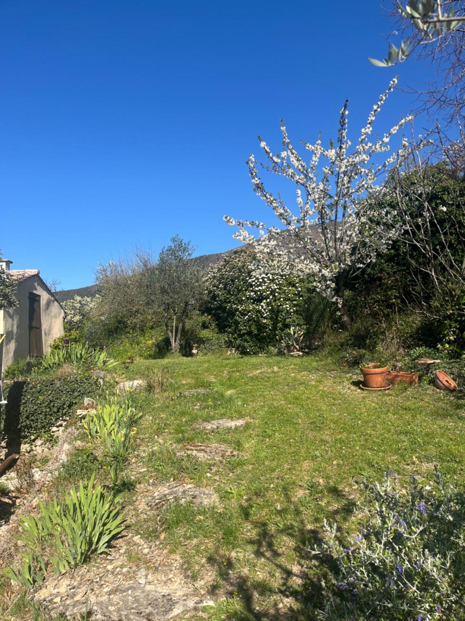 Cabanon Entoure De Montagnes Et D'Oliviers Villa Nyons Exterior photo